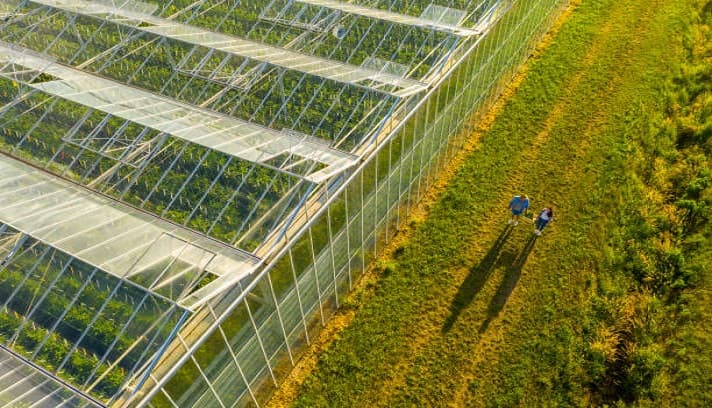 Agricultural innovation
