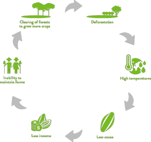 Fresh Food Supply Chain