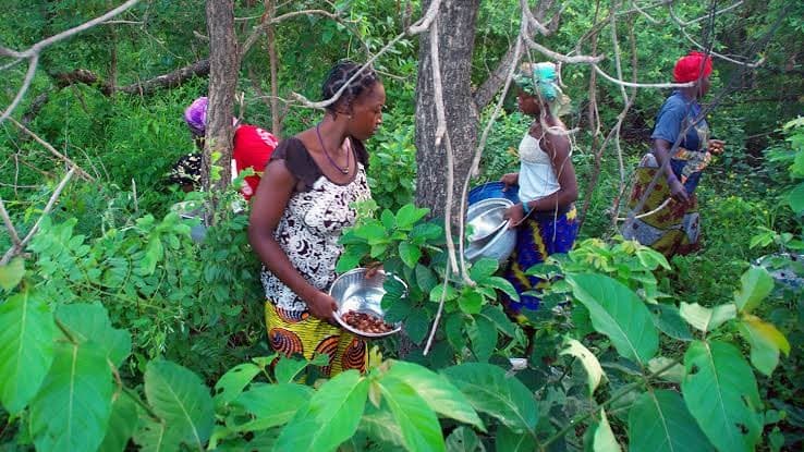 Community Empowerment